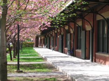 msgordon12 profile photo