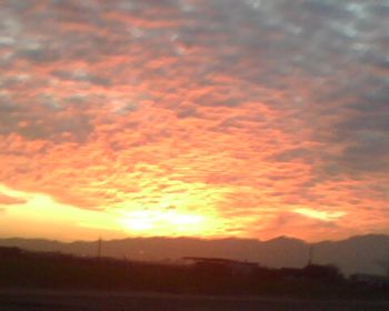 ArmyAero profile photo