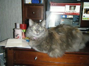 amber187 profile photo