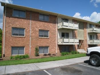 VThokiehokie profile photo