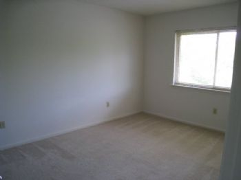 VThokiehokie profile photo