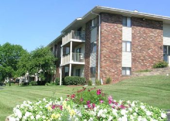 dillybar profile photo