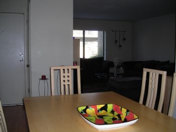 mschili profile photo