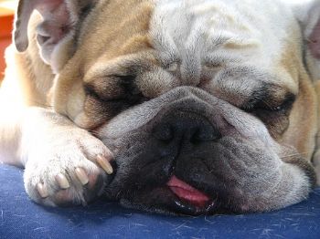 JeffParry profile photo