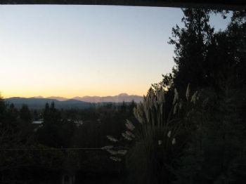 lafemmegela profile photo