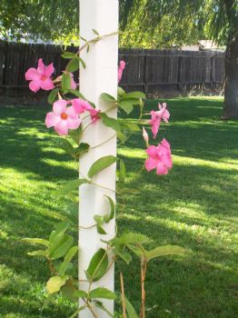 StefanieW profile photo