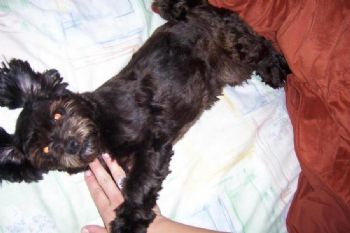 Stara39 profile photo