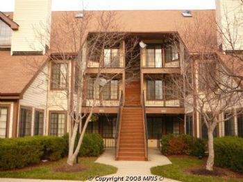 ceruleansun profile photo