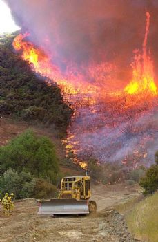 rexcobb24 profile photo