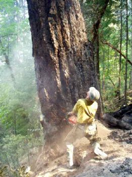 rexcobb24 profile photo