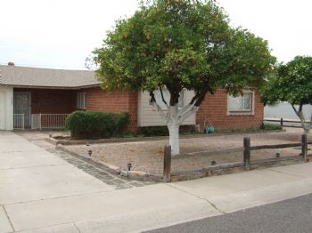 jmaman profile photo