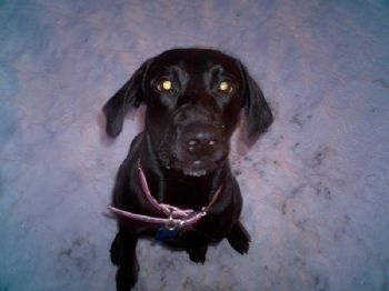 Ash587 profile photo