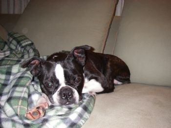 cklamp profile photo