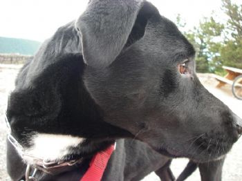 cklamp profile photo