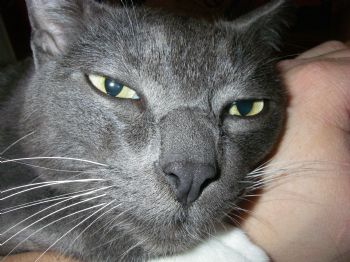 cklamp profile photo