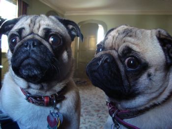 sparkles88 profile photo