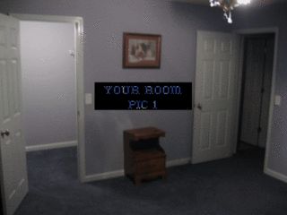 sjsullivan profile photo