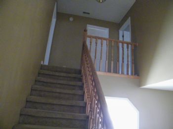 swtemeraldey profile photo