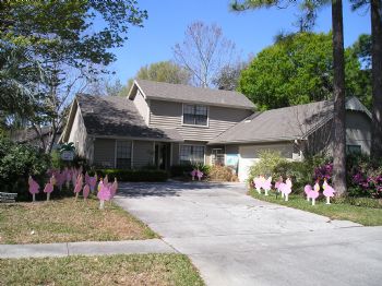 whill10 profile photo