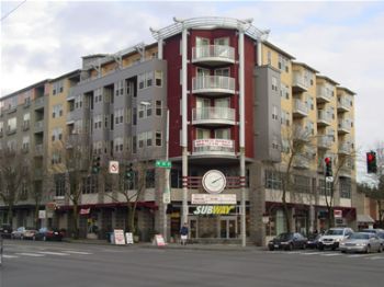 ronamadonna profile photo