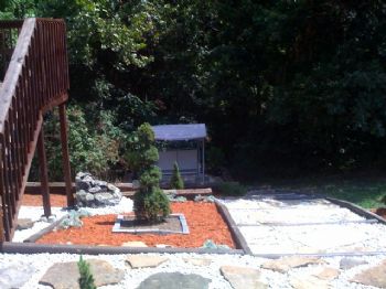 daninnwa profile photo