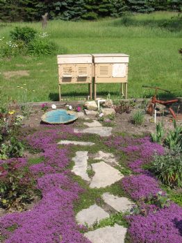 colbydog profile photo