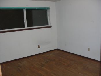 cleanhouse profile photo