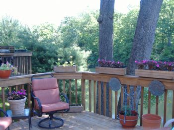 roommaten914 profile photo