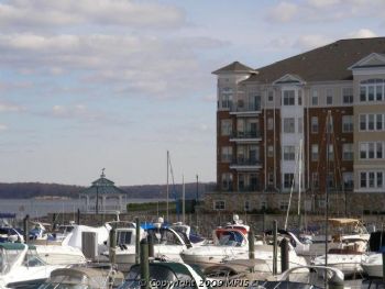 sarahrenee85 profile photo