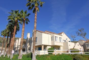 swirlyspaz profile photo