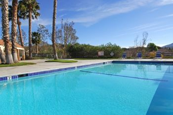 swirlyspaz profile photo