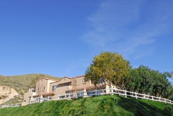 swirlyspaz profile photo