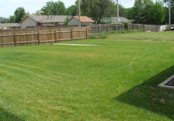 betsytaub profile photo