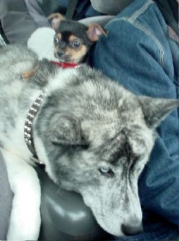 slickrue profile photo