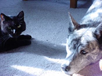 slickrue profile photo