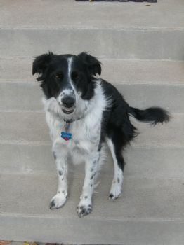 gravitygirl profile photo