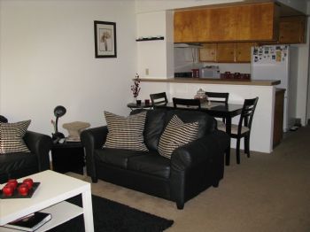 adeno1629 profile photo