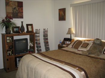 adeno1629 profile photo