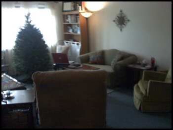 pamelita profile photo