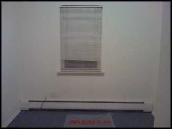 pamelita profile photo