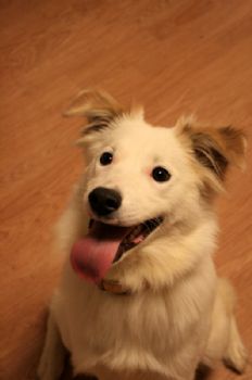 sincerebliss profile photo