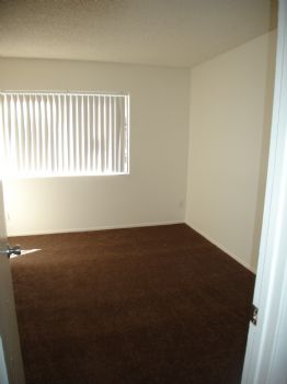 carise profile photo