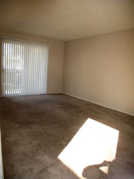 carise profile photo