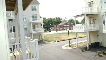 roarkwhite profile photo