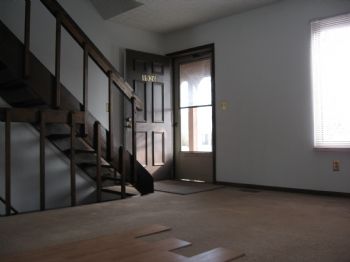 pureimaginat profile photo