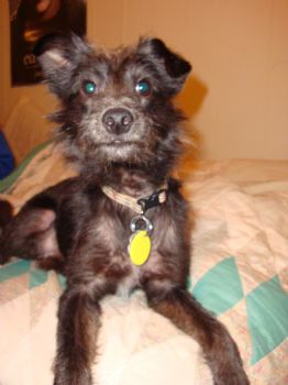 kdeetara profile photo