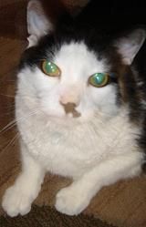 Reneek profile photo