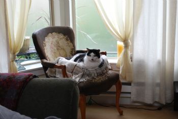 Reneek profile photo