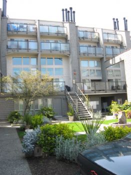 Reneek profile photo