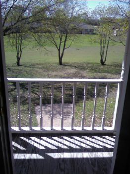 djh003 profile photo